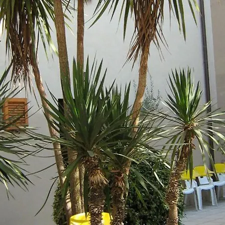 Trieste 3* Senigallia