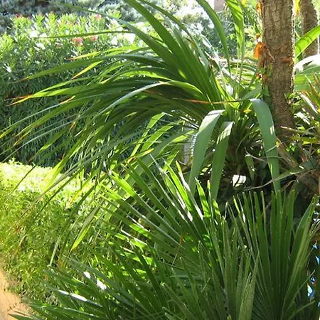 Trieste Otel Senigallia