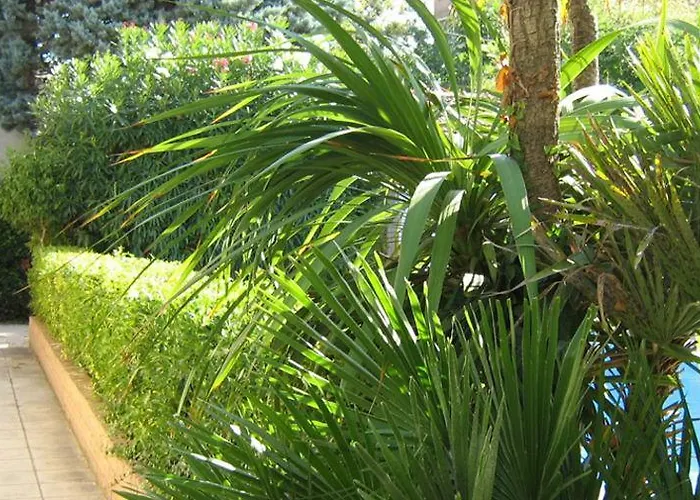 Trieste Otel Senigallia